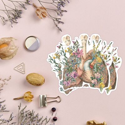 Wild flowers lungs stickers