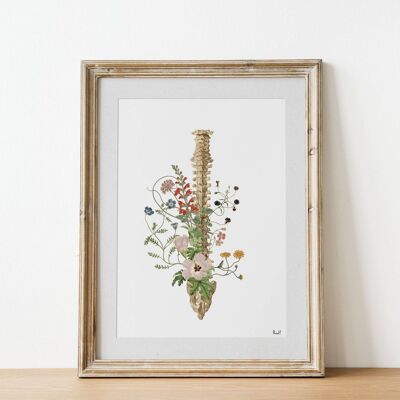 Wild flowers Spine - A3 Poster 11.7x16.5 (No Hanger)