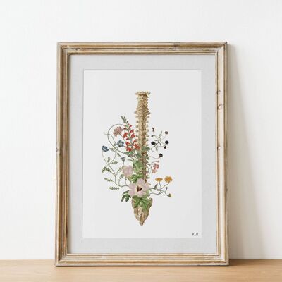 Wild flowers Spine - A3 White 11.7x16.5 (No Hanger)