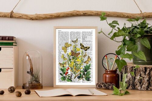 Wild Fruits and butterflies Art print - Book Page M 6.4x9.6 (No Hanger)