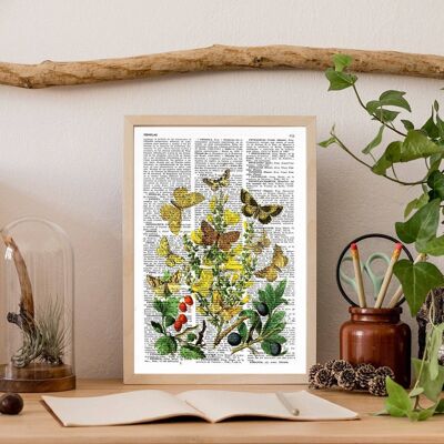 Wilde Früchte und Schmetterlinge Kunstdruck – A4 weiß 8,2 x 11,6 (ohne Aufhänger)