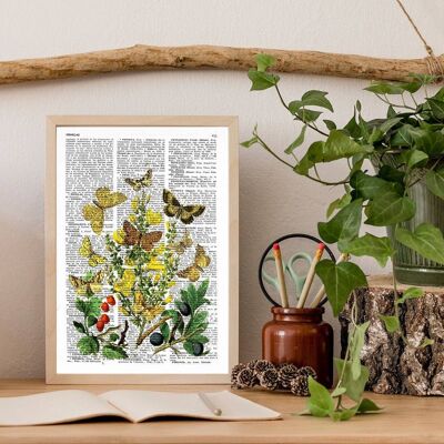 Wild Fruits and butterflies Art print - A4 White 8.2x11.6 (No Hanger)