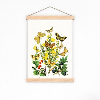 Impression d'art Fruits sauvages et papillons - Blanc 8x10 (Sans cintre) 3