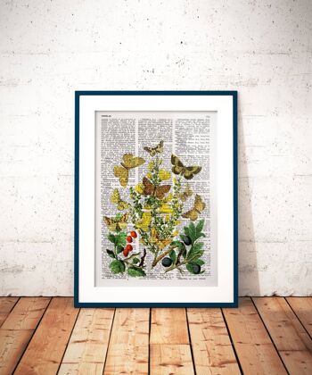 Impression d'art Fruits sauvages et papillons - Blanc 8x10 (Sans cintre) 4