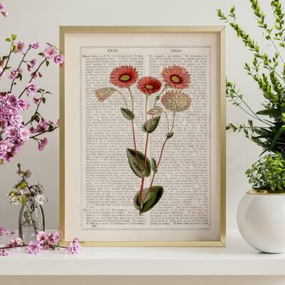 Wild pink daisies flowers art - Book Page L 8.1x12 (No Hanger)