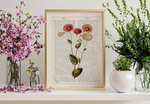 Wild pink daisies flowers art - Book Page S 5x7 (No Hanger)