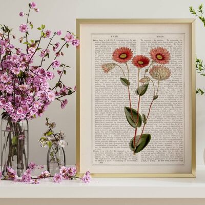 Wild pink daisies flowers art - Book Page S 5x7 (No Hanger)