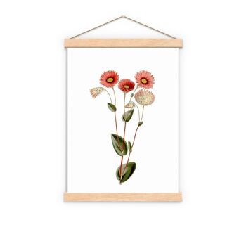 Art de fleurs de marguerites roses sauvages - A4 blanc 8,2 x 11,6 (sans cintre) 3