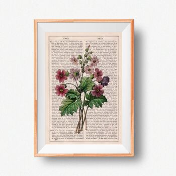 Bouquet de Primevères Sauvages - Blanc 8x10 4