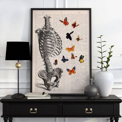 Xmas Svg - stampa artistica da parete - scheletro umano busto pieno di farfalle - regalo di stampa anatomica - decorazione anatomica - arte della scienza - SKA095 - A5 bianco 5,8 x 8,2 (senza gancio)