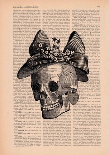 Svg de Noël, cadeau pour son cadeau de Noël cadeau de docteur Skull Book Print Vintage Print crâne d'une femme avec un chapeau Collage livre impression art SKA009 - blanc 8 x 10 3