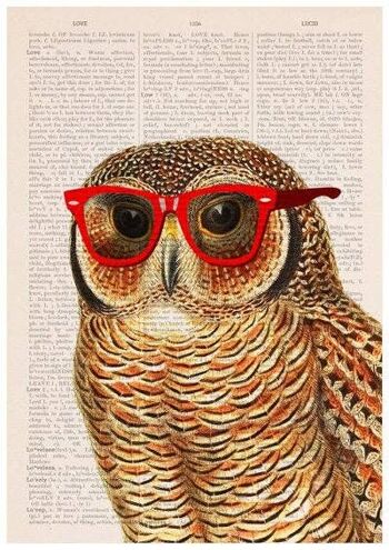 Noël Svg, Cadeau pour lui, Cadeaux de Noël, Affiche Cool Owl, Art animalier drôle, Art mural, Décoration murale, Art de la pépinière, Animal ANI035PA3 (No Hanger) 3