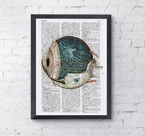 Xmas Svg, Wall art print Eye ball human anatomy Art Print Upcycled art Print eye detail, anatomy print, science and geek gift SKA090 - Book Page L 8.1x12 (No Hanger)