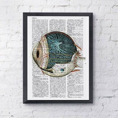 Xmas Svg, Wall art print Eye ball anatomia umana Art Print Upcycled art Stampa dettagli degli occhi, stampa anatomica, scienza e regalo geek SKA090 - Pagina del libro L 8,1 x 12 (senza gancio)