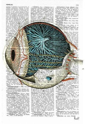 Xmas Svg, Wall art print Eye ball anatomie humaine Art Print Upcycled art Print eye detail, anatomie print, science and geek gift SKA090 - White 8x10 2