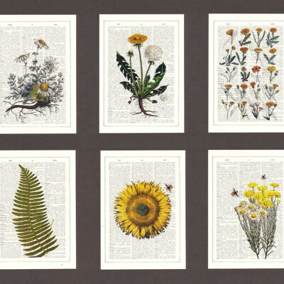 Gelbe Blumen Postkarten