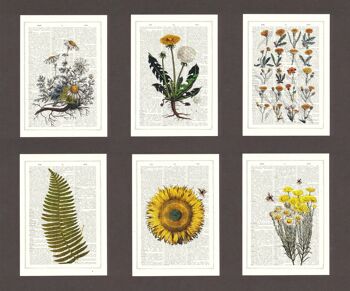 Fleurs jaunes Cartes postales 1