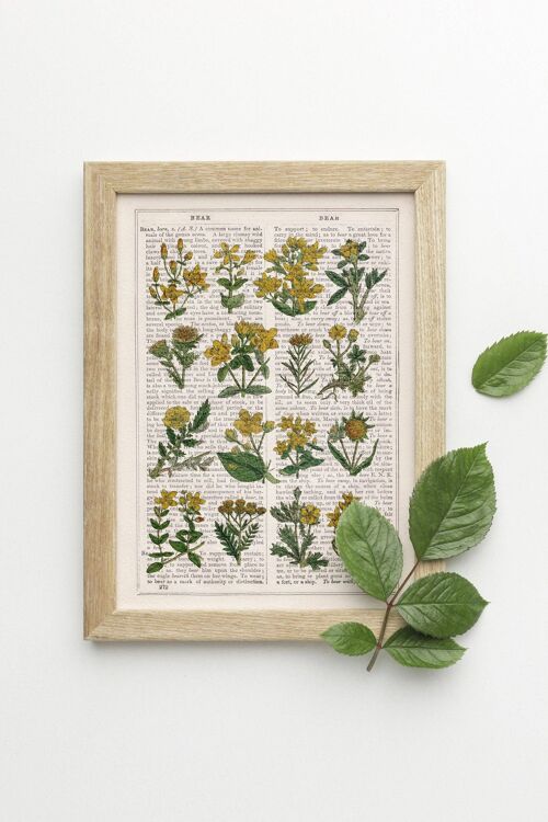 Yellow Wild flowers collection - Book Page L 8.1x12 (No Hanger)