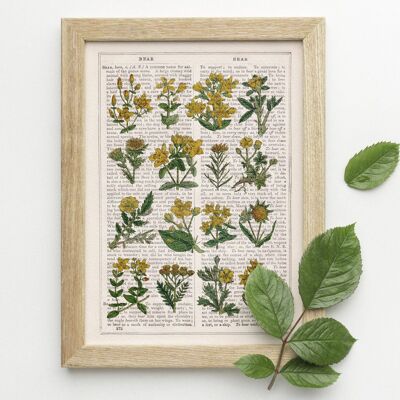 Collezione Yellow Wild flowers - Pagina del libro L 8,1x12 (No Hanger)