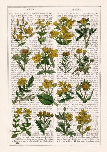 Collection de fleurs sauvages jaunes - Page de livre S 5x7 (sans cintre) 4