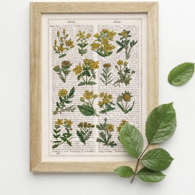 Yellow Wild flowers collection - White 8x10 (No Hanger)