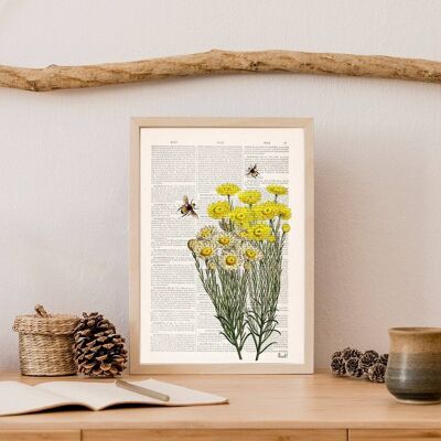 Yellow wild flowers with bees Print - Book Page L 8.1x12 (No Hanger)