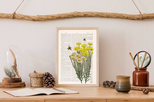 Yellow wild flowers with bees Print - Book Page M 6.4x9.6 (No Hanger)