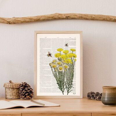 Yellow wild flowers with bees Print - Book Page S 5x7 (No Hanger)