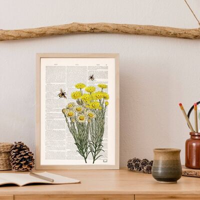 Yellow wild flowers with bees Print - Book Page S 5x7 (No Hanger)