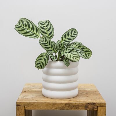 3D printed pot 13 cm white