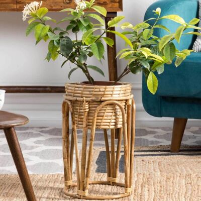 Indoor Rattan Plant Stand & Basket