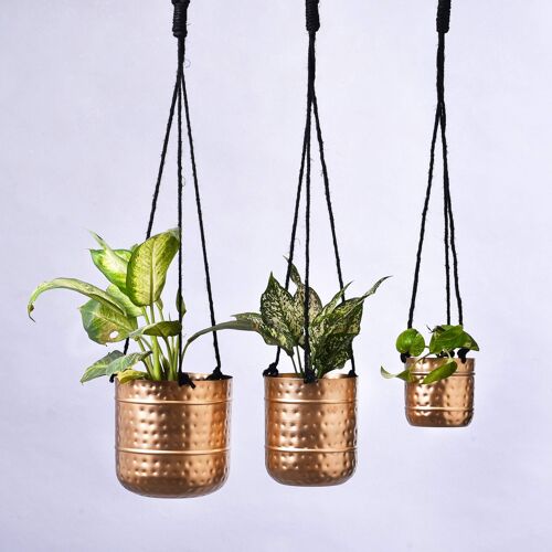 Hanging Hammered Planter - Golden Finish - Medium