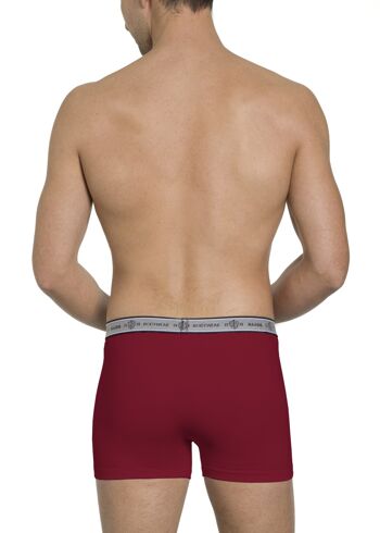 Lot de 2 pantalons pour hommes sans fiançailles (gris moyen et rouge vin), certifiés GOTS, jersey simple, taille élastique tissée avec logo Bodywear tissé 7