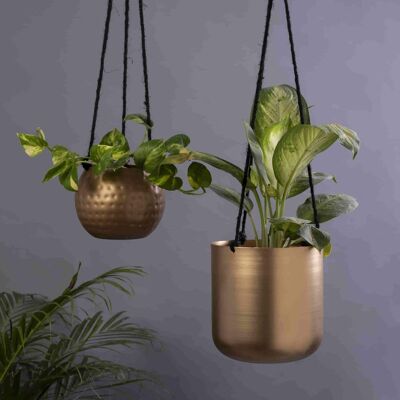 Set of 2 Hanging Planters with Gold Finish