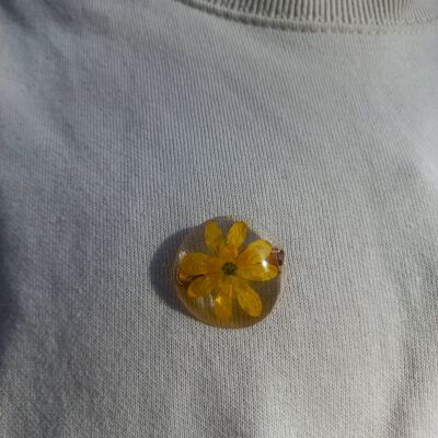 Yellow Ficaria brooches
