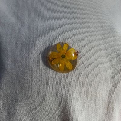 Yellow Ficaria brooches