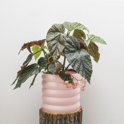 3D printed pot 17 cm pink