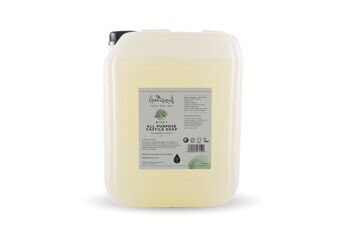 Menthe Castille 20 litres