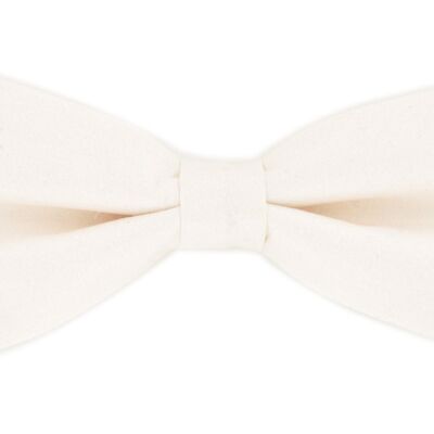 Bow tie The one we must have Ivory
