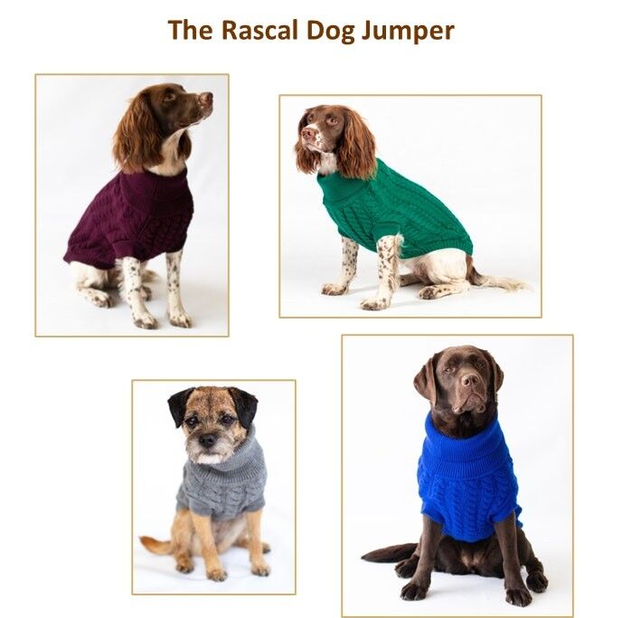 Buy wholesale The Rascal Dog Jumper