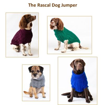 The Rascal Dog Jumper