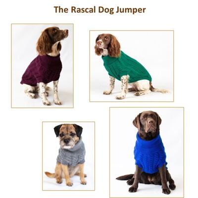 Der Rascal-Dog-Pullover
