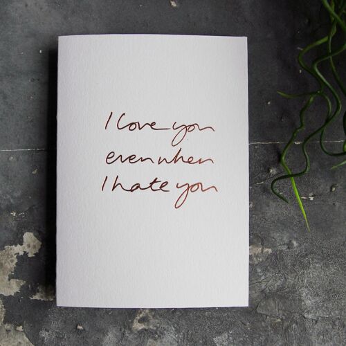 I Love You Even When I Hate You - Hand Foiled Greetings Card
