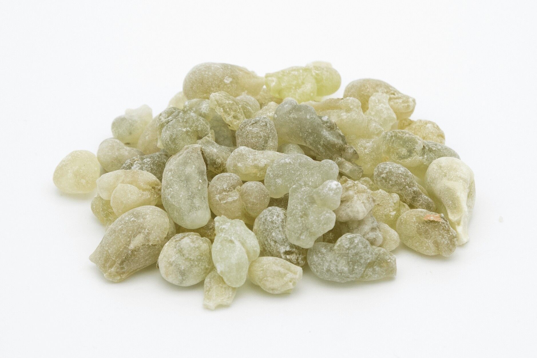 incienso verde [Boswellia sacra]