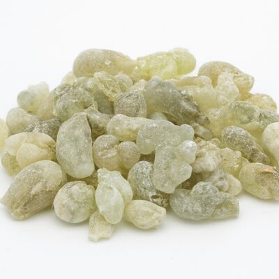 green frankincense [Boswellia sacra]