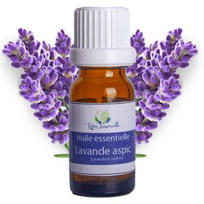 Spike lavender essential oil