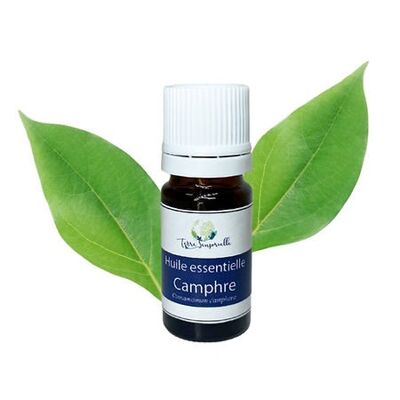 Camphor essential oil