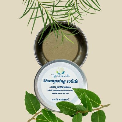 Shampoing solide anti-pelliculaire