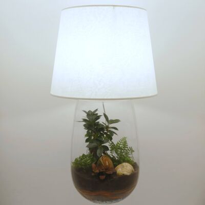 XXL elongated vase terrarium lamp