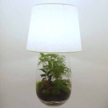 Lampe terrarium vase allongé XXL 2